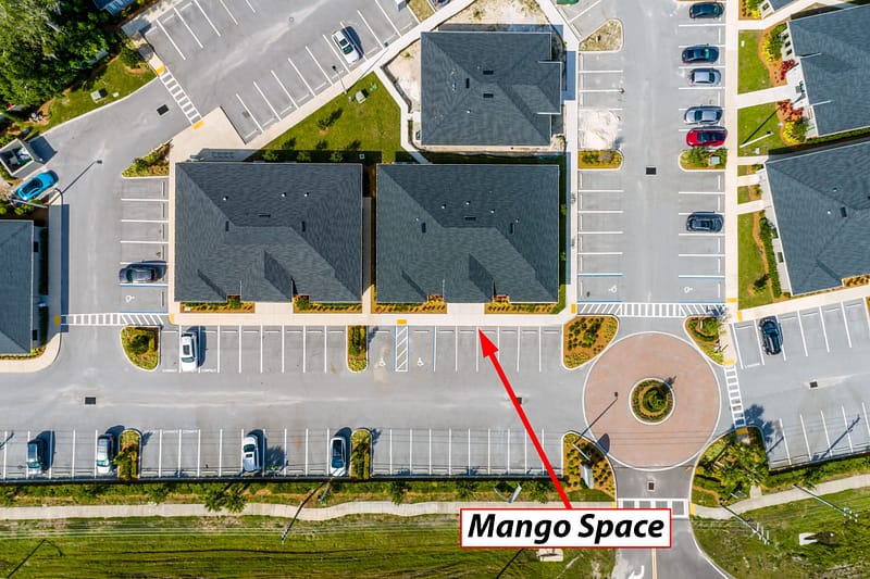 Mango Space Land O Lakes - Drone-